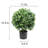 20.98'' Jasmine Plant