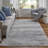 Whitten Abstract Light Gray Area Rug-364105972