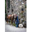 Porter Outdoor Wall Lantern-1418791304-1418791315