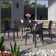 Slezak 4 - Person Patio Dining Set with Square Table