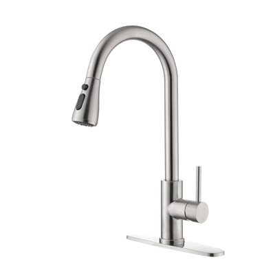 Robinet d'évier de cuisine à poignée simple avec douchette extractible