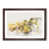 Walnut Framed selected