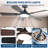52 in Ceiling Fan with Lights and Remote for Bedroom, Living Room and Patio-1145072188-1145072185