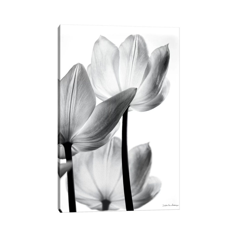Debra Van Swearingen - Print on Canvas, Wrapped Canvas, 20.32 cm H x 30.48 cm W