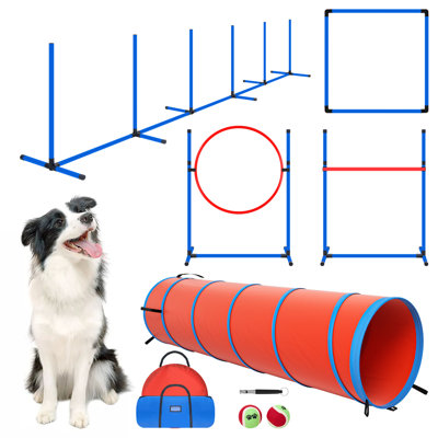 Ensemble d'équipement d'agilité pour chien