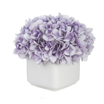 Hydrangea Arrangement