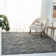 Chaffin Shag Performance Solid Color Rug