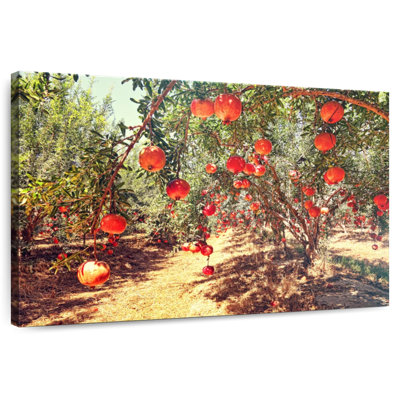 Verger Harnek Pomegranate