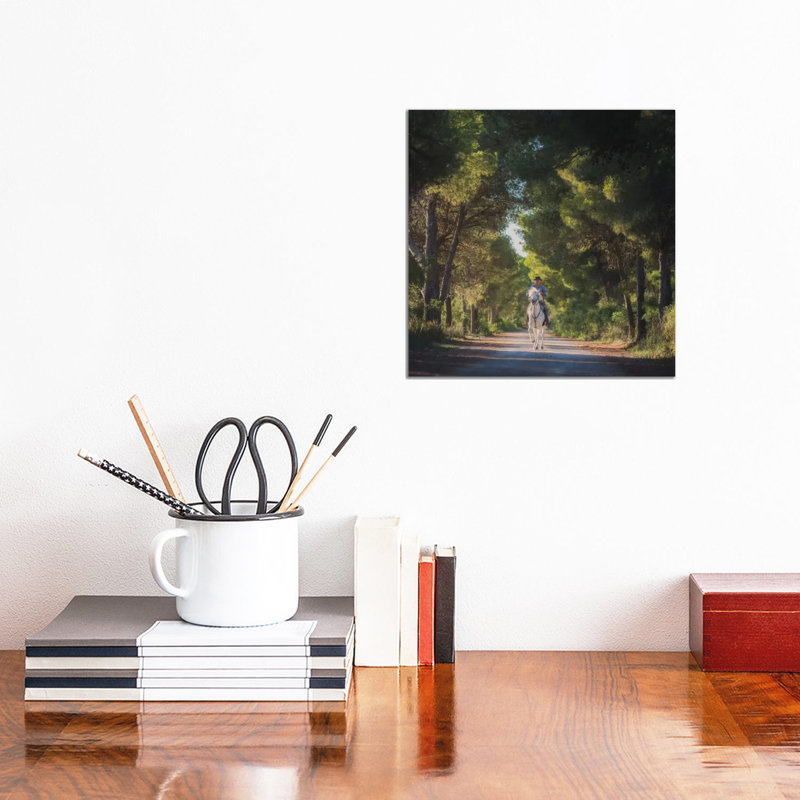 Camargue by Daniel Kordan - Wrapped Canvas Print, 30.48 cm H x 30.48 cm W