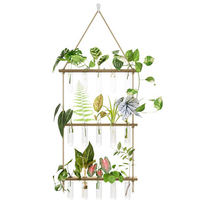 Propagation Station with Wooden Stand, 5 Glass Test Tubes Wall Plant Holder for Plant Wall, 3 Tiered Propagation Terrarium for Home Office, Hydroponic by East Urban Home