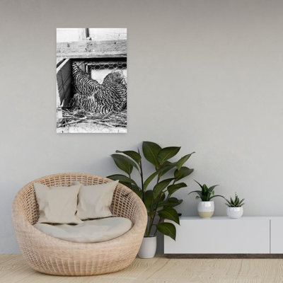 1960S Hen Sitting On Nest In Chicken Coop Classic Retro Vintage Bird Animal Architecture Wall Art