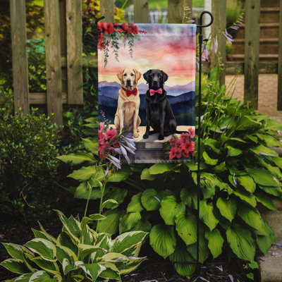 Double Sided 15.5'' H x 11.25'' W Polyester Valentine's Day Garden Flag