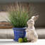 Inali Ceramic Pot Planter - Set of 3