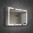 Pouyan 30"H Recessed or Surface Mount Framed  LED Medicine Cabinet with Adjustable Shelves-311190185