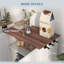 1100ml Elevated Feeder,Food Storage And Container