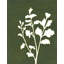 Art sur toile tendue Astoria Grand Meagher, Megan Gallery: Four Seasons Foliage II