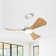 42 In. 3 Abs Blades Indoor Ceiling Fan With Light Kit And Remote