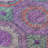 Machine Washable Indoor/Outdoor Xhevrie Purple Rug-111820242