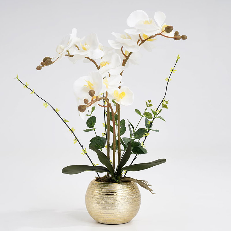 Arrangement