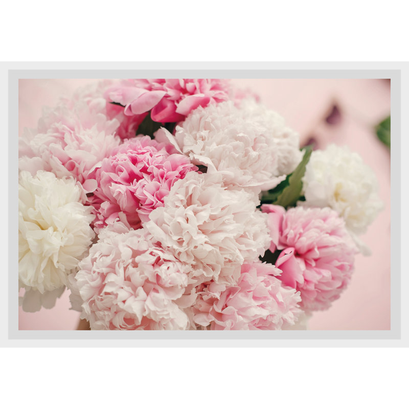 Rose - Single Picture Frame Print