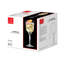 Florian Cocktail Glasses - 245ml