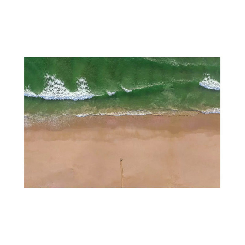 Turtle Season by Haitham Al Farsi - Print on Canvas, Wrapped Canvas, 45.72cm H x 66.04cm W x 1.91cm D