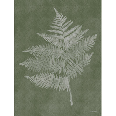 Fougères des bois III