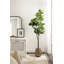 Figuier en figuier avec pot Portell-840316664-844837712