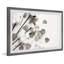 Cotton Blossom - Single Picture Frame Painting-1333053813