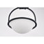 Luminaire suspendu sphérique unique à 1 lumière