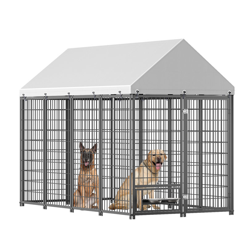Grand enclos extérieur durable pour chenil avec toit, parfait pour une enceinte sécuritaire et confortable