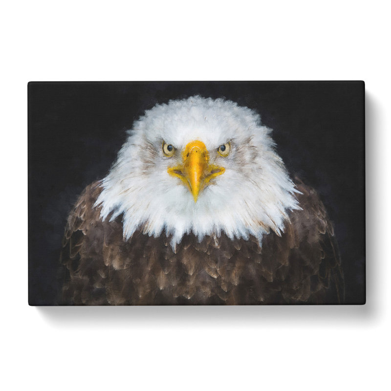 Bald Eagle Bird - Wrapped Canvas Painting, 60cm H x 91cm W x 3cm D