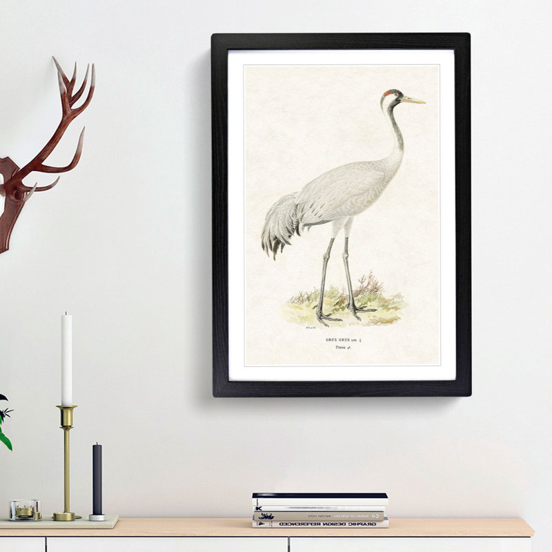 Common Crane by Von Wright - Picture Frame Painting Print, 36cm H x 27cm W x 2cm D, Black Framed