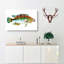 Goldfinny Fish by Edward Donovan - Wrapped Canvas-55366101