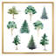 «Eucalyptus Pine Fir Linden Olive Tree Collection», reproduction d'art sur toile traditionnelle-66817223-66817224
