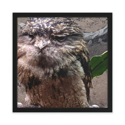 Millwood Pines Bird Owl Framed On Paper 