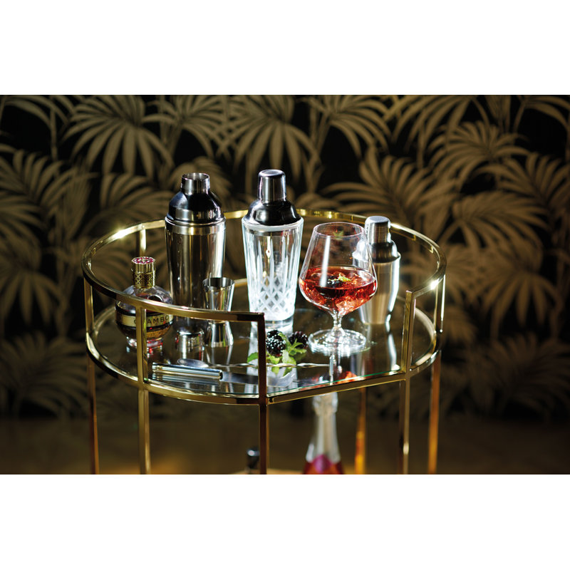 Glass Cocktail Shaker