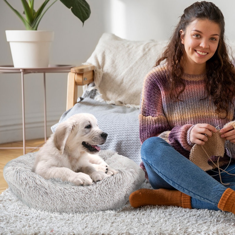Lit pour chien Elam Super Lux Shaggy, Moyen (l 24 po x P 20 po x H 7,5 po), Gris
