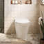 Toilette sans réservoir 12 "à chasse d'eau 1,1 GPF avec réservoir intégré et bidet manuel en blanc brillant Swiss Madison Hugo