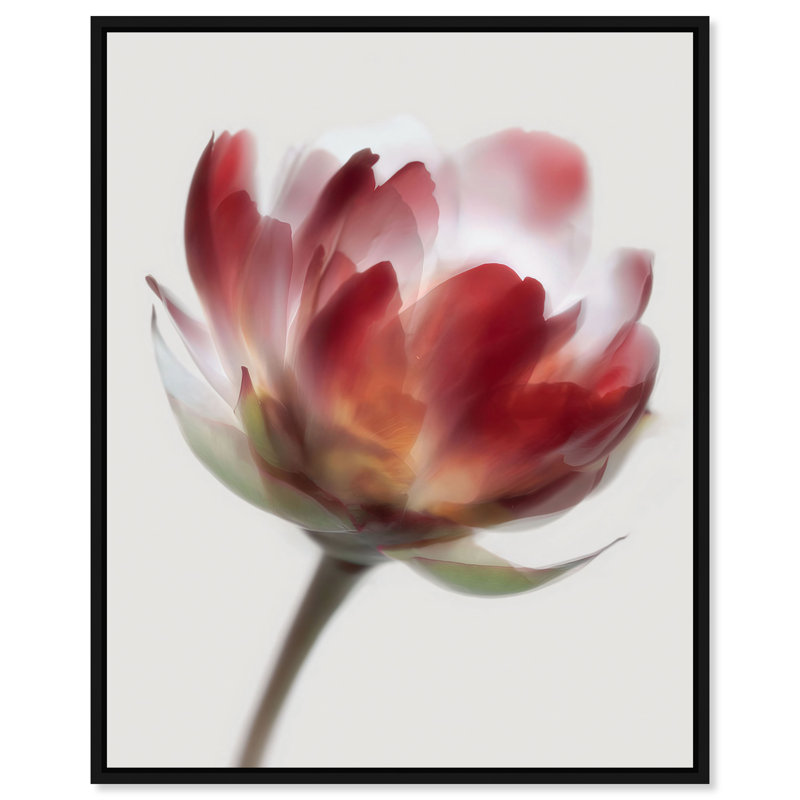 Crimson Core II Abstract Canvas Print by Oliver Gal, Black Frame, 16 x 20, 17"H x 21"W, Black Floater Frame