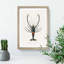 Crimson Crawfish Illustration by Charles D Orbigny - Framed Print-55490532-55490535