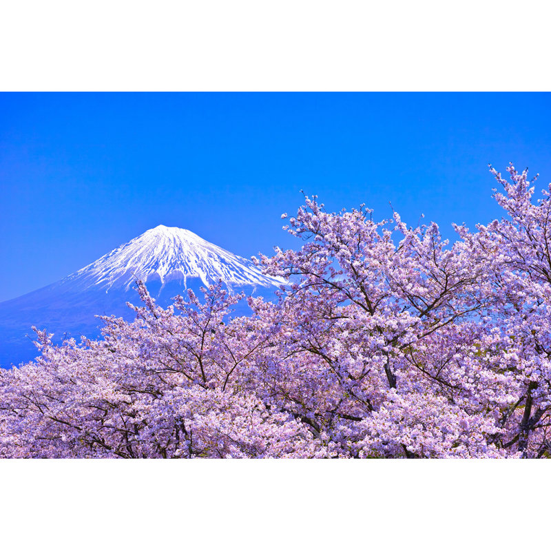 Mont Fuji par 7 Maru - photographie sur toile tendue, H 8 po x l 12 po