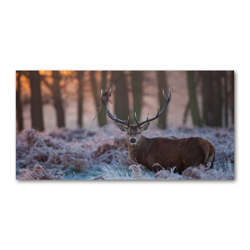 Deer At Sunrise - Wrapped Canvas Print