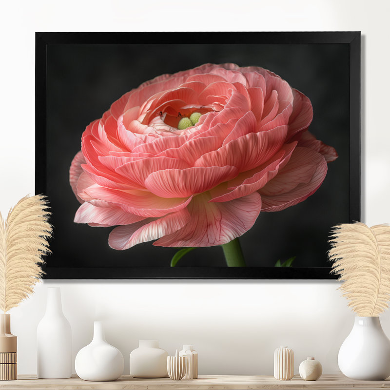 Décoration murale monochrome Ranunculus Frozen Beauty II - Renoncule, Cadre flottant noir, H 24 po x l 32 po