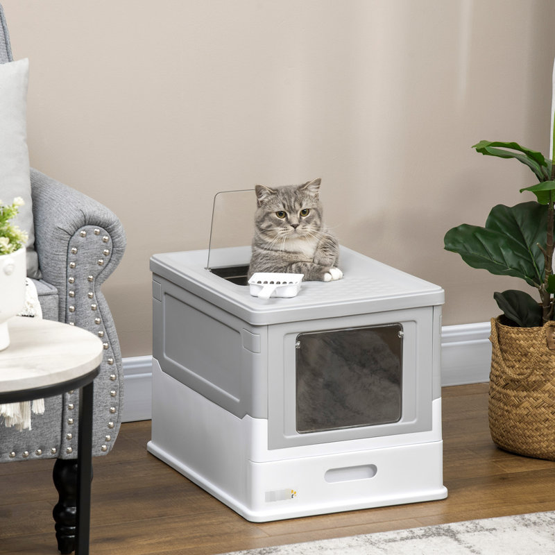 Litière pour chat gris - pour garder la maison propre et spacieuse