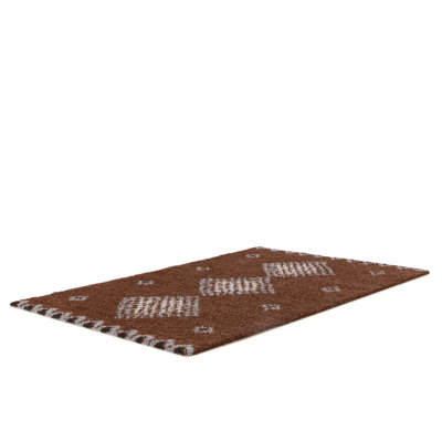 Chavez Geometric Shag Area Rug