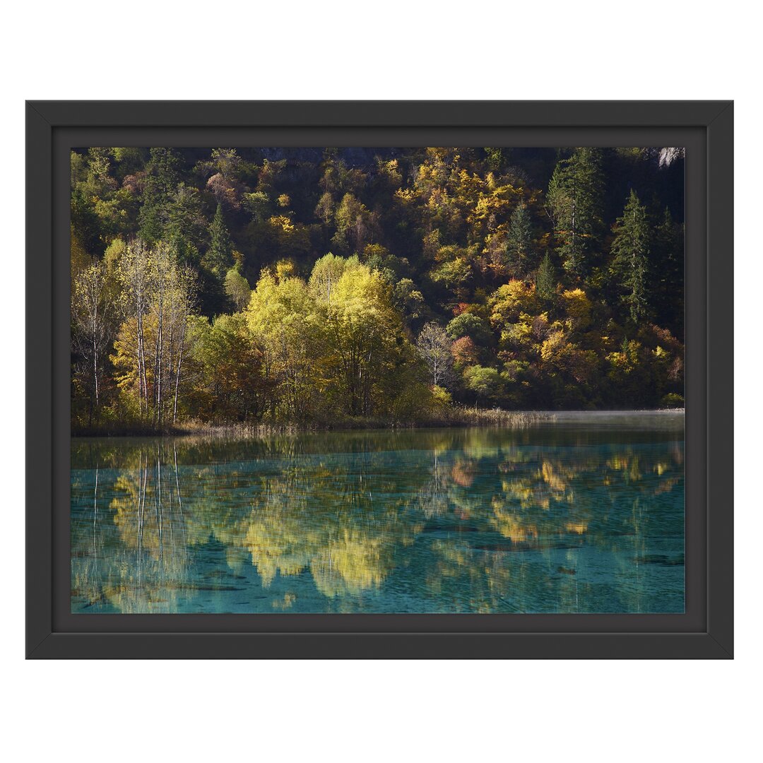 Gerahmtes Wandbild herbstlicher Wald am See