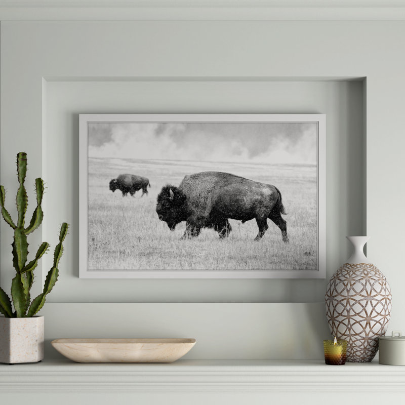 «Buffalo pair» par Marmont Hill - reproduction de photo sur papier encadrée, H 24 po x l 36 po x P 1,5 po