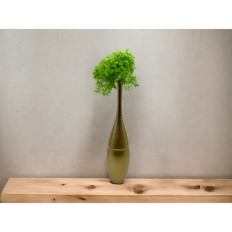 Hortensia Anna séchée, Vert jaune