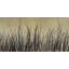 Wetland Brush Print by Kari Taylor-26772679-26772683